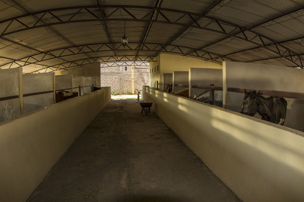 Teoticamp Hotel San Juan Teotihuacán Buitenkant foto